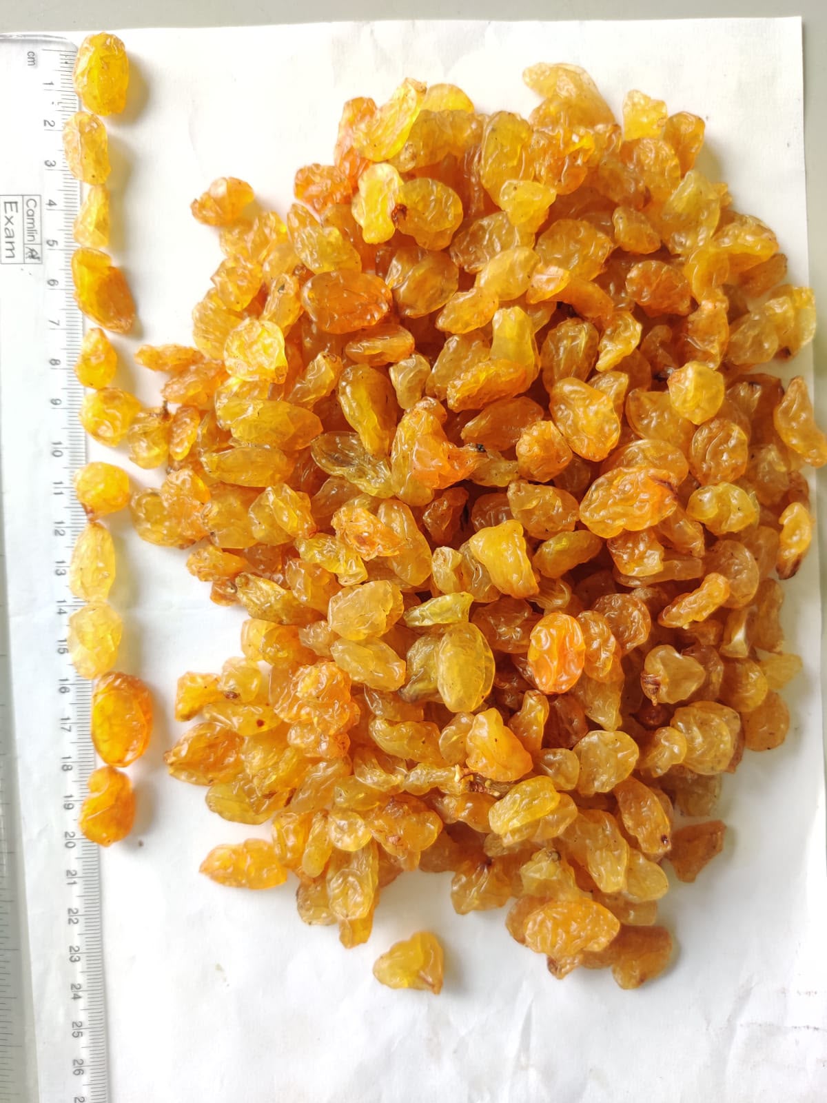 Golden raisins quality check